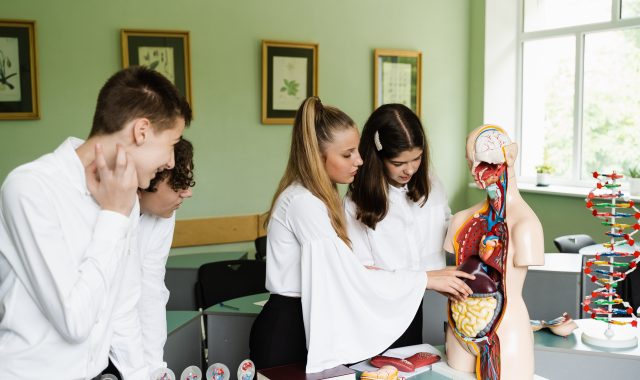 STEM at A Level: Biology