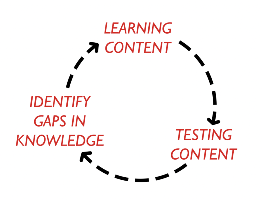 Revision cycle consisting of learning content, testing content, and identifying gaps in knowledge.