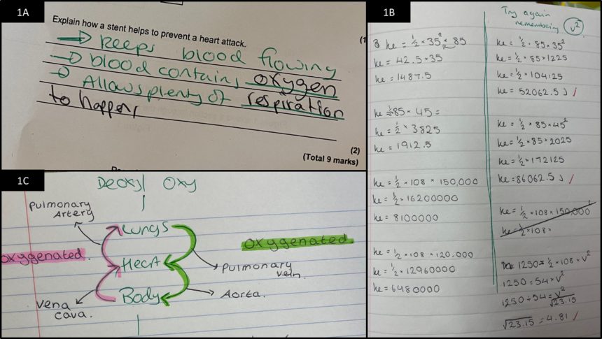 Examples of live marking and the 'You take over' strategy.