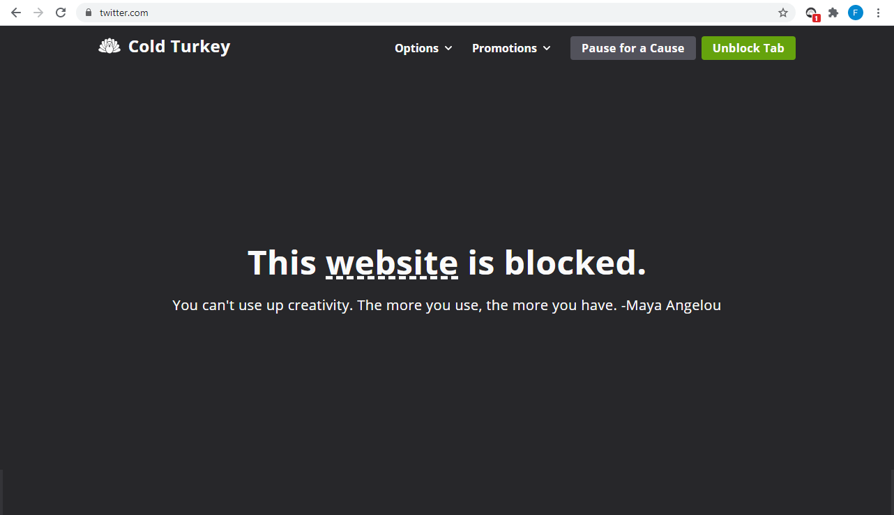 Cold Turkey revision app 'This website is blocked' page.