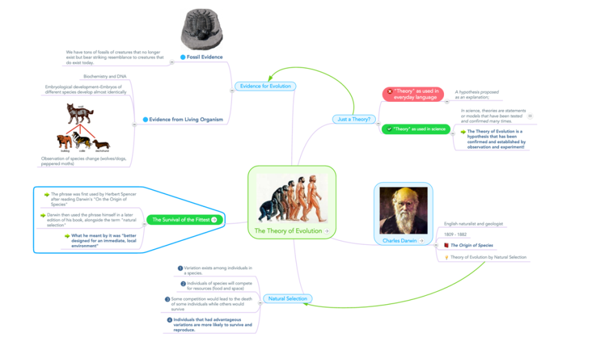 Theory of Evolution mind map created using MindMeister.