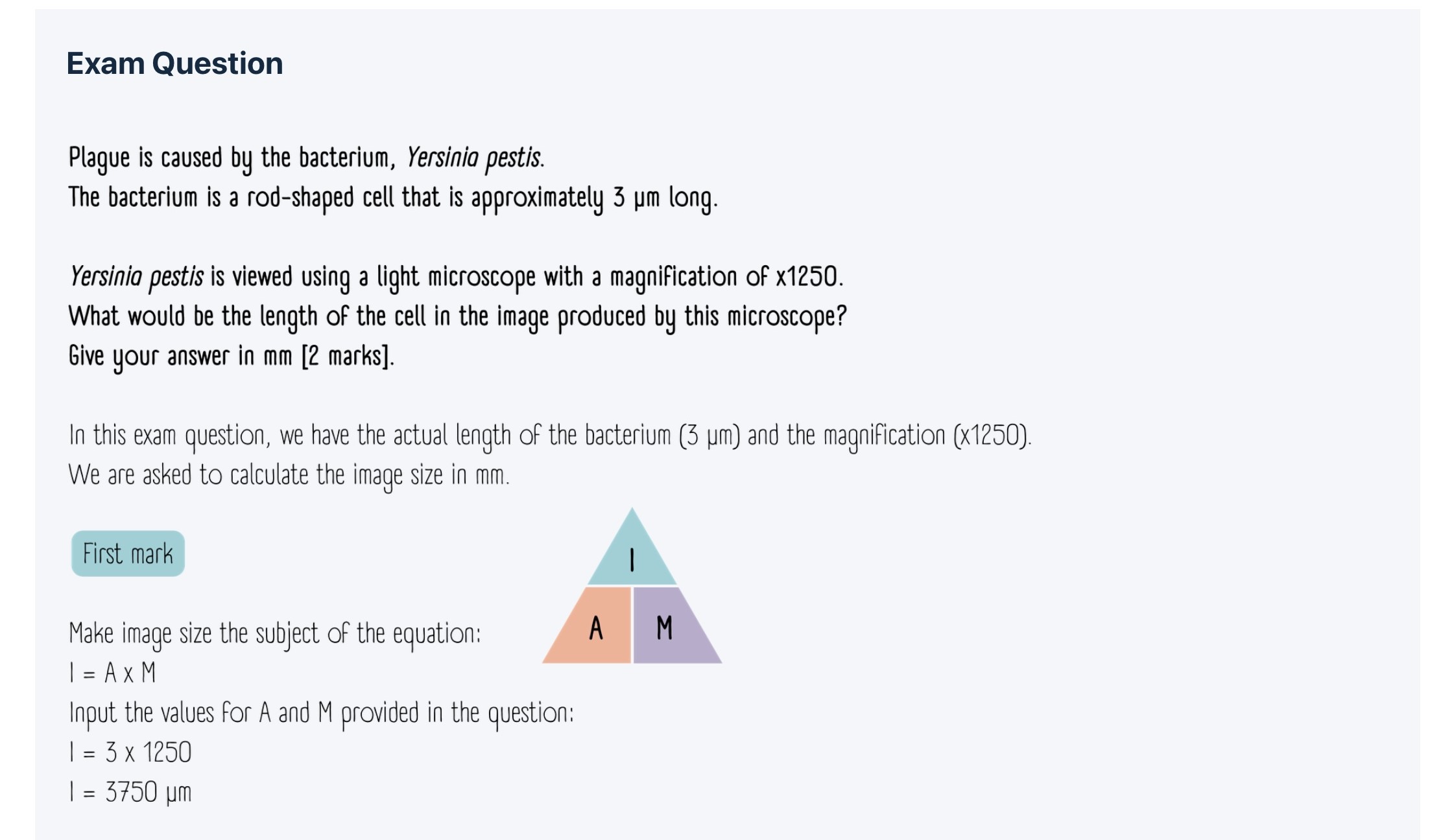 On-demand course exam question example.