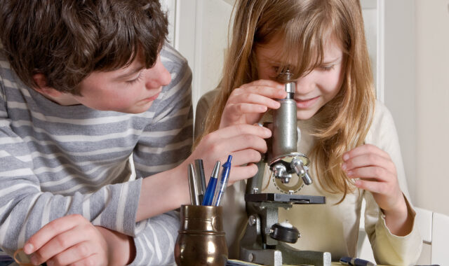 Home education in the UK: What parents need to know